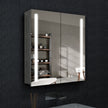 LYRA Rectangular Frameless Custom LED Medicine Cabinet