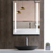 LYRA Rectangular Frameless Custom LED Medicine Cabinet