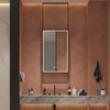 GLIM Hanging Rod Rectangular Metal Framed Custom LED Mirror