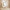 GLOWY Rectangular Frameless LED Mirror with Edge LED Light | Ship today mirror