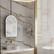 ELVIA Hanging Rod Arched Metal Black Framed Custom LED Mirror